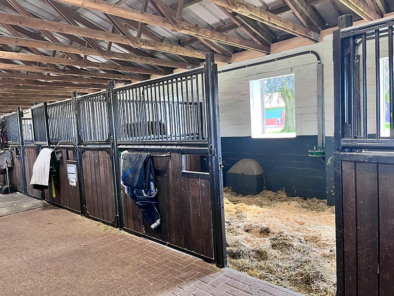 Holsteiner Stall Box gross