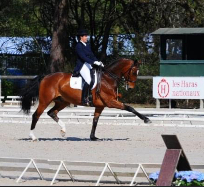 Reitlehrerin Dressur Danae Lara de la Camara